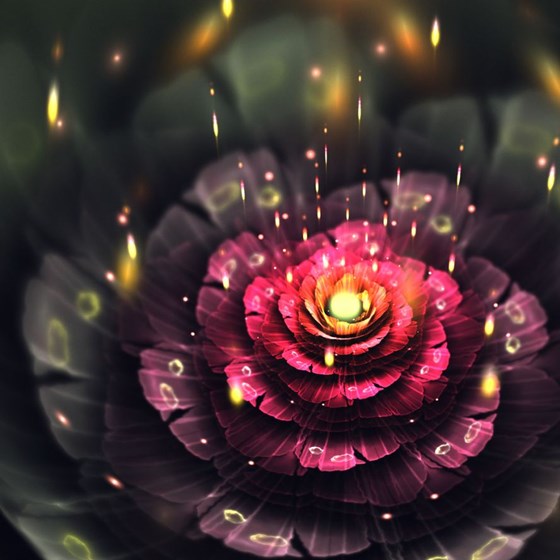 cifra_art: cifra2013