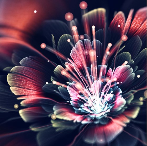 cifra_art: cifra2013