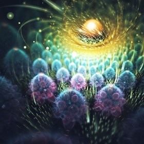 cifra_art: cifra2013